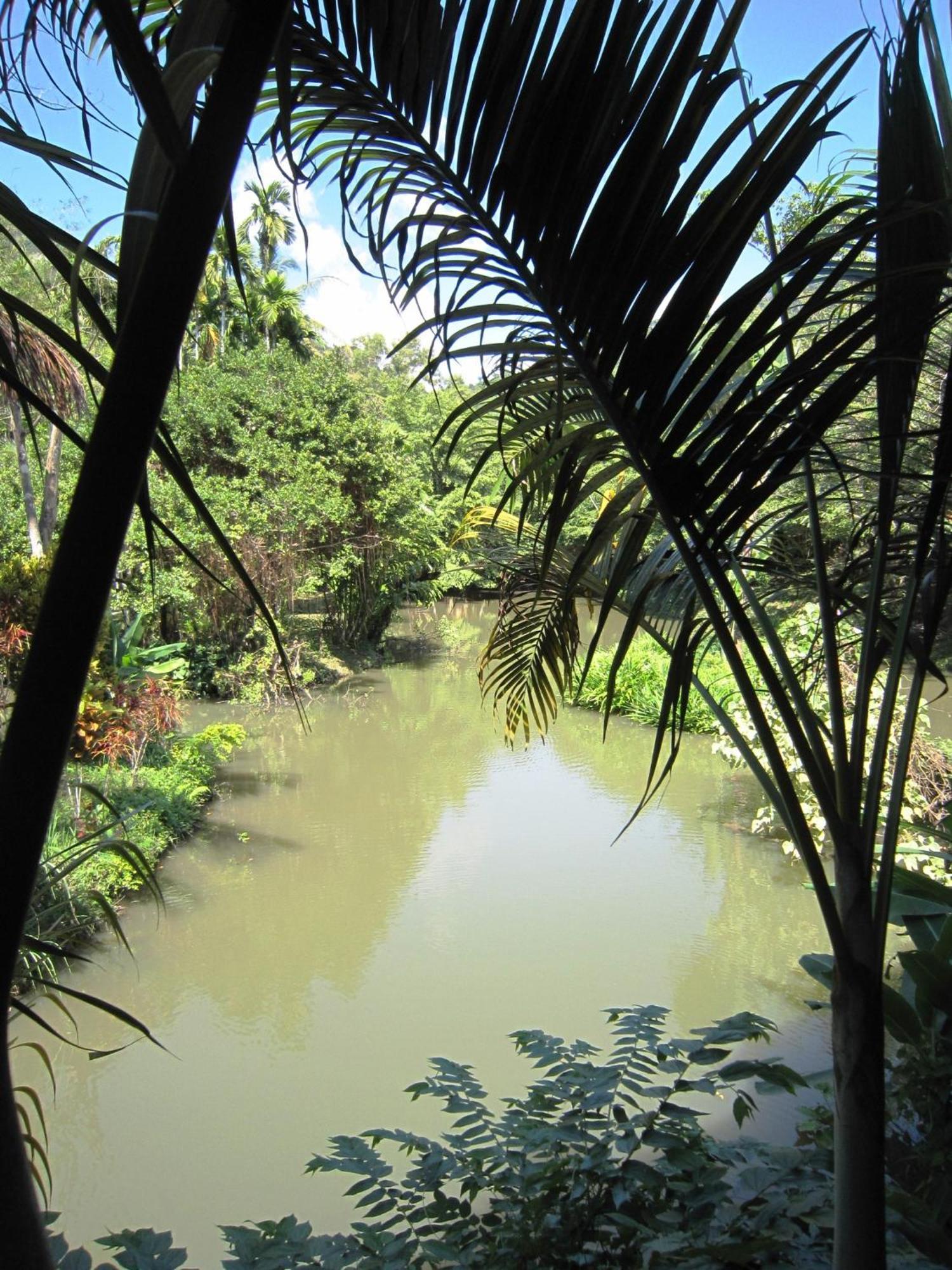 Phanom Bencha Mountain Resort Krabi Zewnętrze zdjęcie