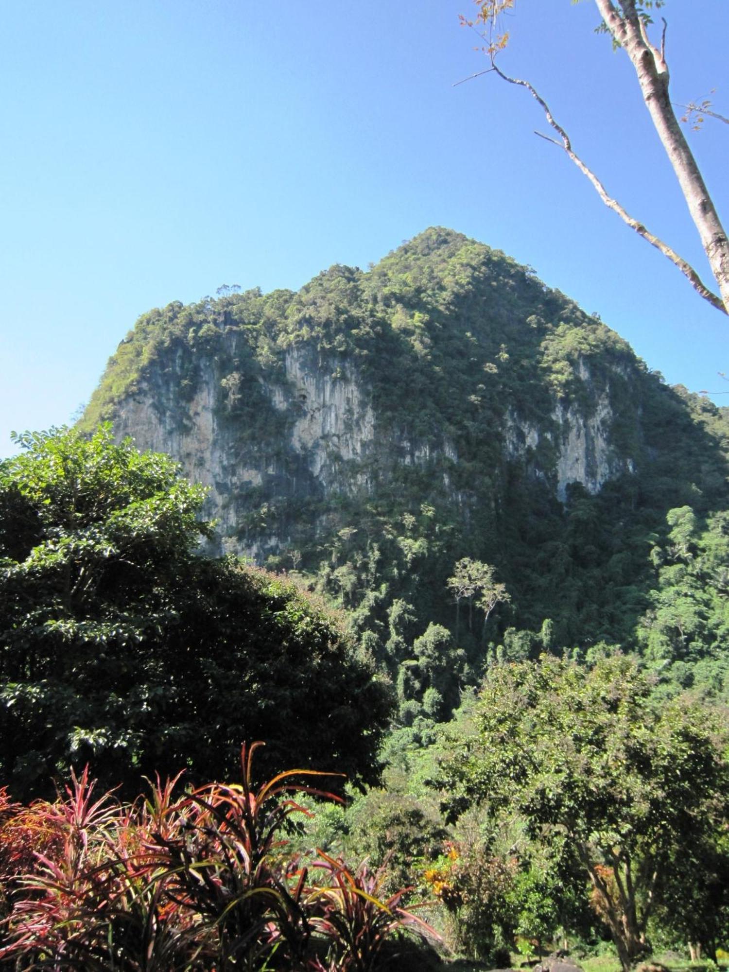 Phanom Bencha Mountain Resort Krabi Zewnętrze zdjęcie