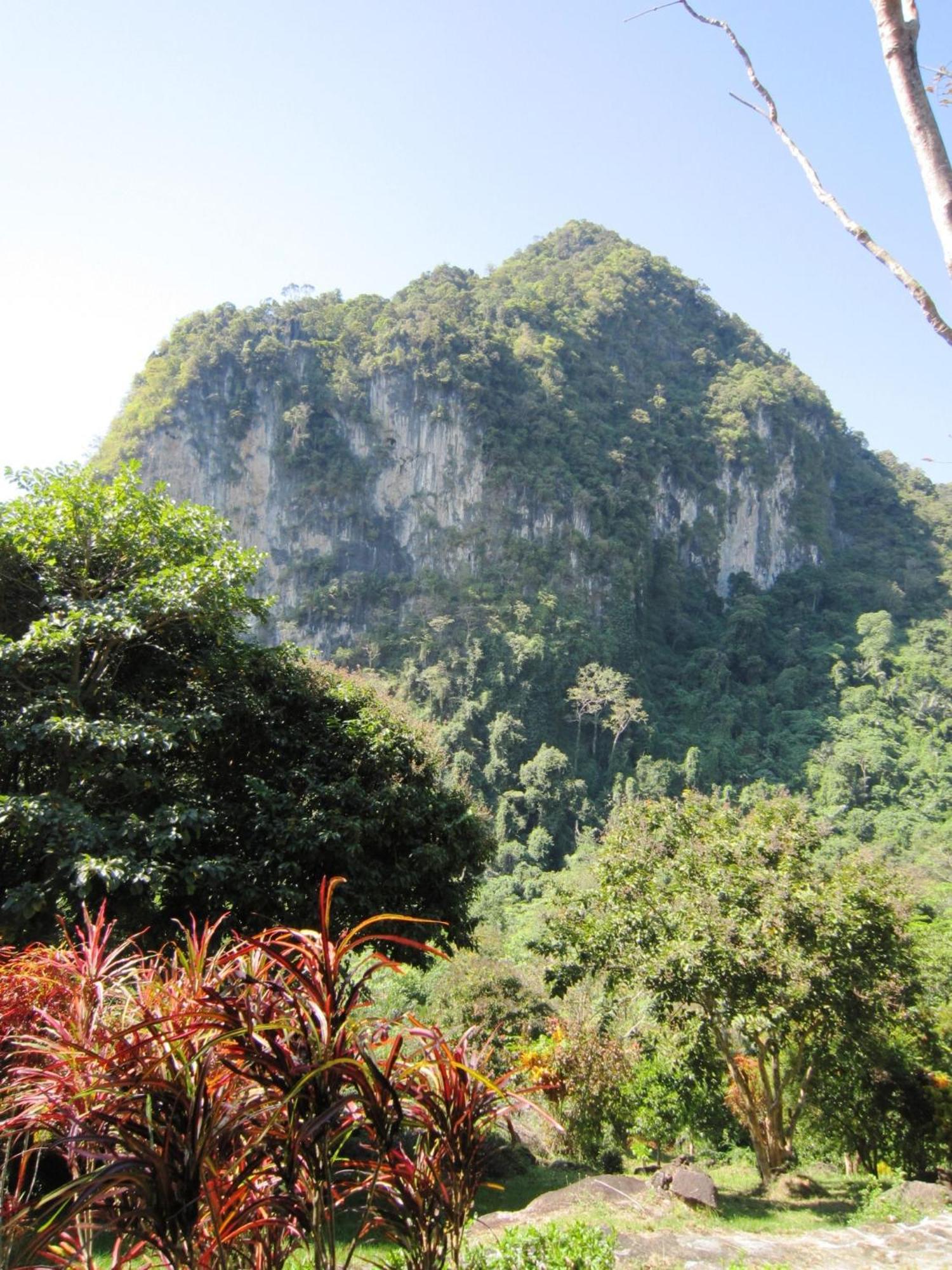 Phanom Bencha Mountain Resort Krabi Zewnętrze zdjęcie