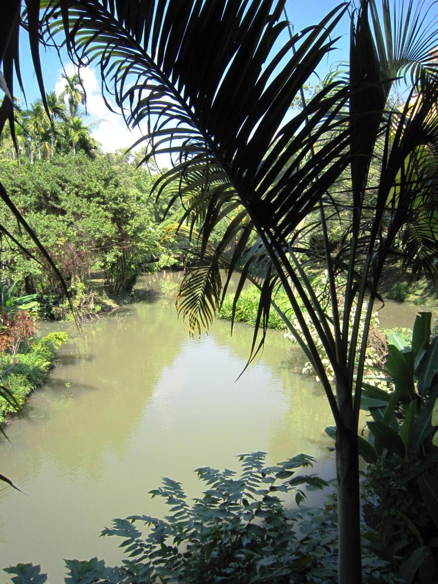 Phanom Bencha Mountain Resort Krabi Zewnętrze zdjęcie