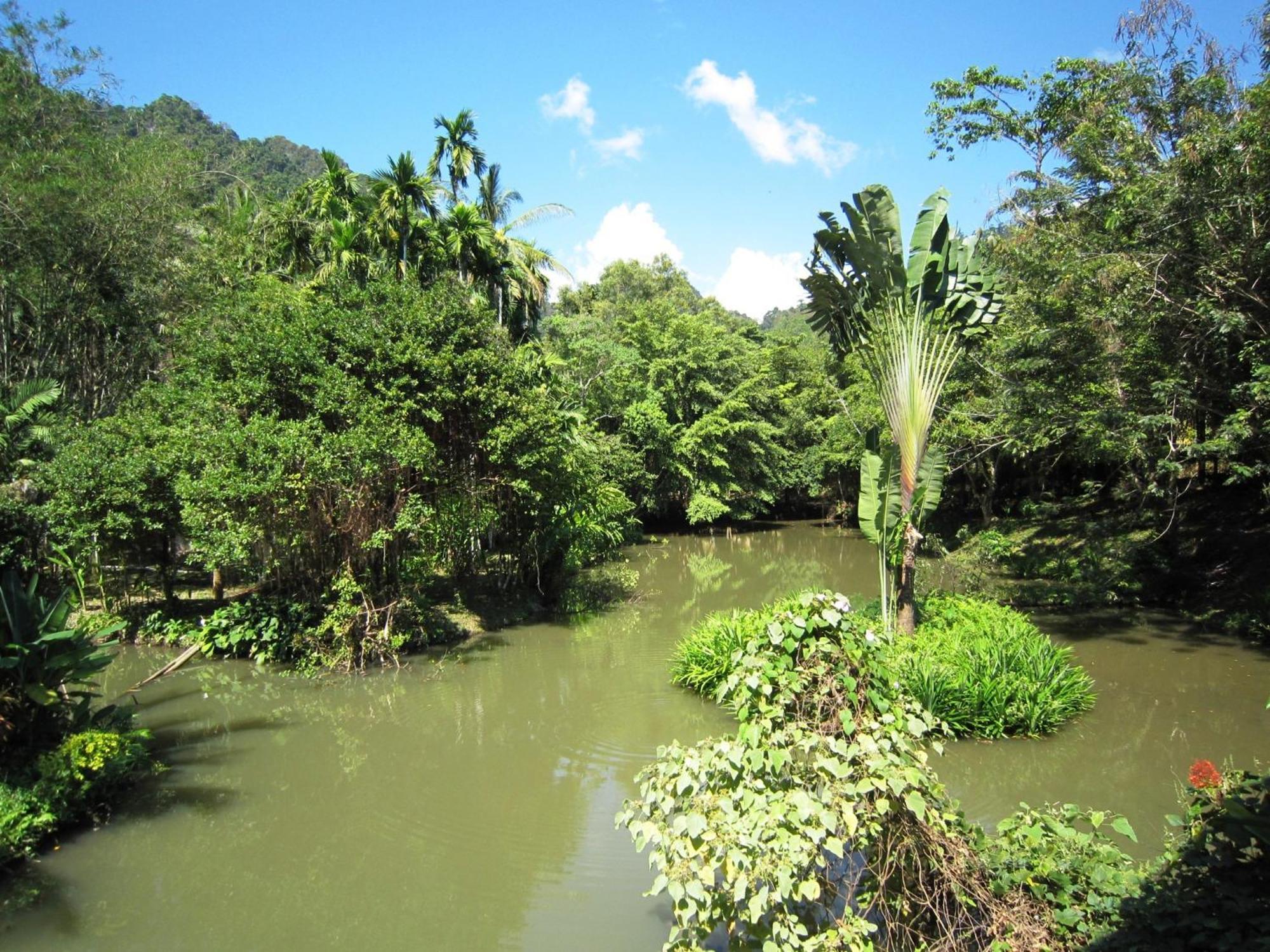 Phanom Bencha Mountain Resort Krabi Zewnętrze zdjęcie