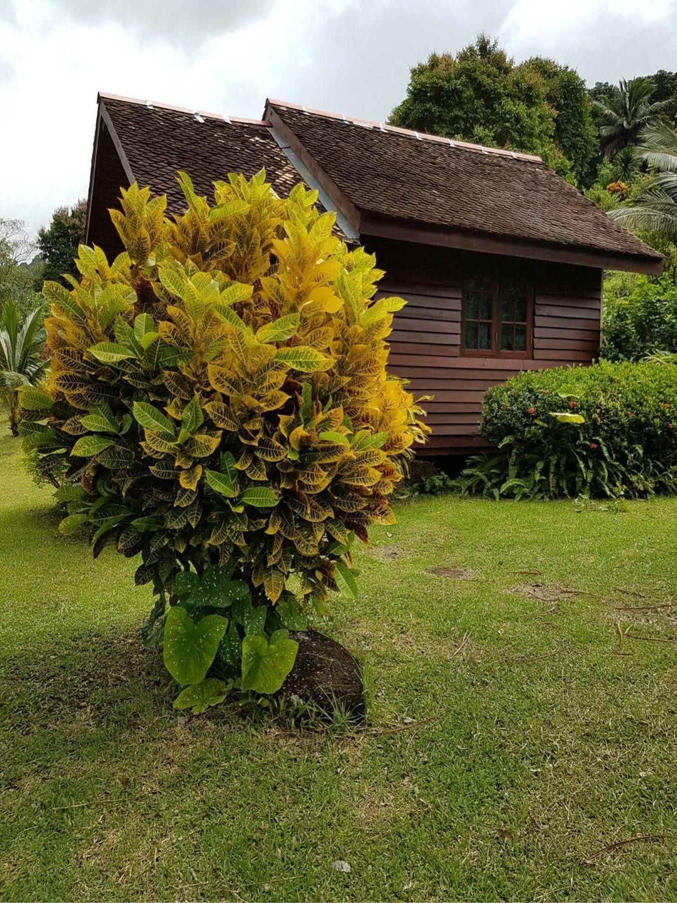 Phanom Bencha Mountain Resort Krabi Zewnętrze zdjęcie