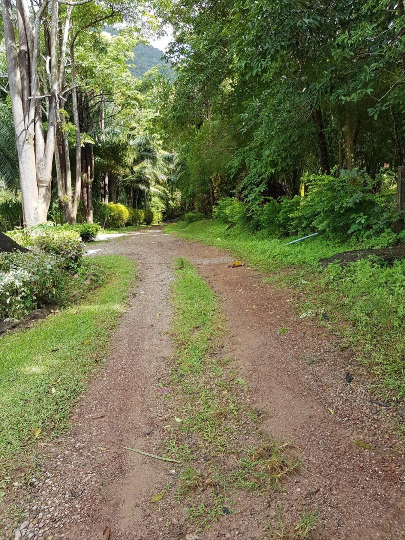 Phanom Bencha Mountain Resort Krabi Zewnętrze zdjęcie